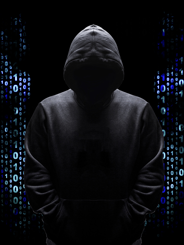 White Snake Menace: The Growing Threat of Information Stealers in the Cybercrime Landscape